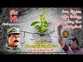 மே 18 மாபெரும் இன எழுச்சிப் பொதுக்கூட்