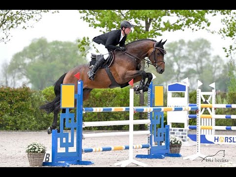 Diamant de Plaisir II *2017 by Diamant de Semilly x For Pleasure x Landor S