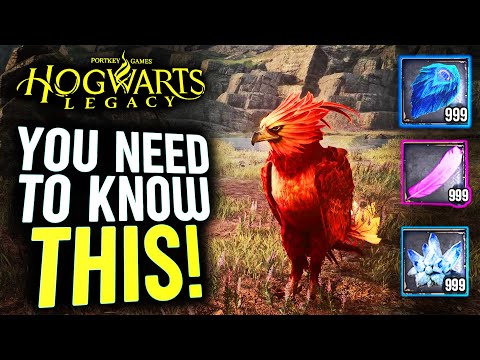 Everything You NEED To Know About Your Vivarium in Hogwarts Legacy!