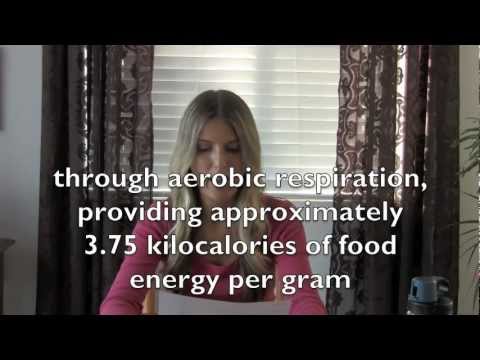 Why I Eat SO MUCH Fruit