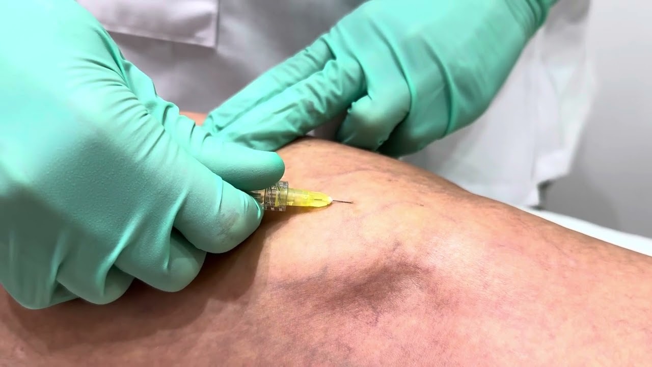 Susanne Innocenti-20