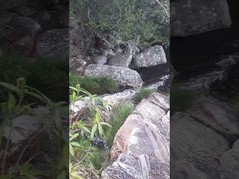 CACHOEIRA DO BOQUEIRÃO EM JOAQUIM FELICIO #minasgerais