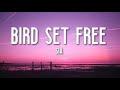 Bird Set Free - Sia (Dope Lyrics) 🎵