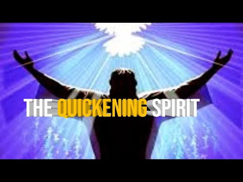 The Quickening Spirit  @tashymedia