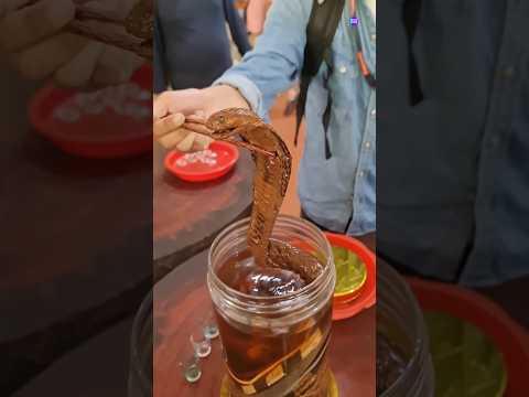 Snake wine 🤯