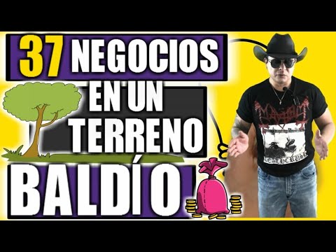 , title : '37 NEGOCIOS QUE PUEDES INICIAR EN UN TERRENO BALDIO'