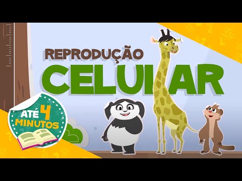 👨‍🔬REPRODUÇÃO CELULAR 👩‍🏫 Para sala de aula l Aprenda com Luna - O Show da Luna!