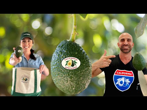 Two Easy and Delicious California Avocado Recipes