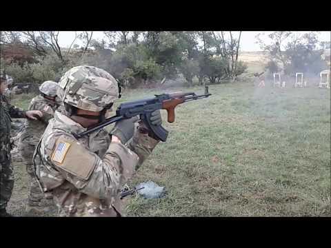 Full Auto AK (Pistol Mitraliera Model 1963)