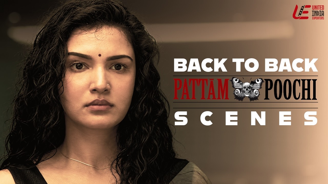 Pattampoochi Back To Back Super Scenes | Sundar C | Jai | Honey Rose