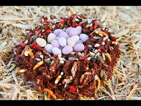 download lagu mp3 mp4 Birds Nest Recipe Easter, download lagu Birds Nest Recipe Easter gratis, unduh video klip Birds Nest Recipe Easter