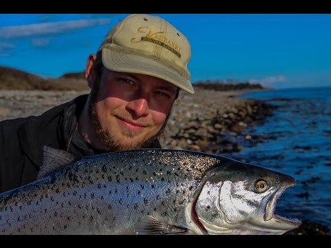 Havørredfiskeri på Samsø
