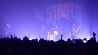 The Struts - These Times are Changing (Live @ House of Blues San Diego on 3-30-16)