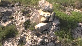 Природен парк "Русенски Лом"   Ruse Lom Nature Park Bulgaria