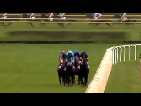 18.08.2013 Hannover 7.Rennen Großer Preis des Audi Zentrums Hannover -  Gruppe 3 (A)  2.000 m