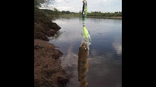 Точка прицеливания у блесен