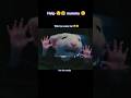 Stuart Little Stuck In The Washing Machine Youtube Trend Shortsfeed Anime Shortvideo Yt