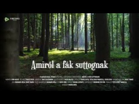 Amiről a fák suttognak vetítés a Magnet házban