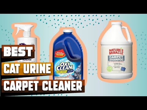 Top 10 Best Car Carpet Cleaner for Cat Urine On Amazon
