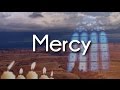 Vinesong Mercy Lyric Video