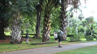 preview picture of video 'Botanická zahrada Royal Botanic Gardens - Peradeniya Kandy Sri Lanka'