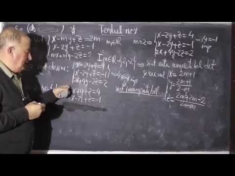 1/2 Lectia 291 - Sisteme de ecuatii liniare - Discutia compatibilitatii dupa un parametru Matematica