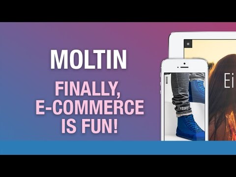 E Commerce Made Easy FINALLY E COMMERCE IS FUN for developers