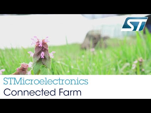 STMicroelectronics and the Connected Farm