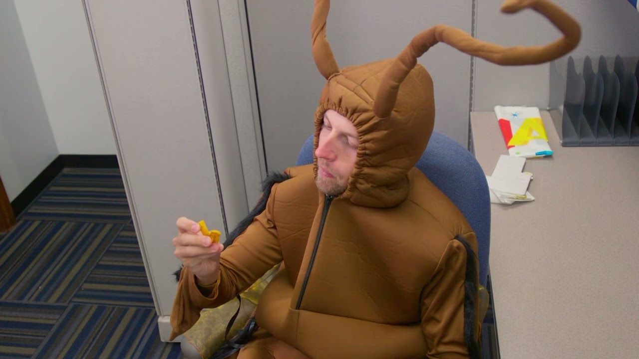 Don't Let Pests Become Coworkers