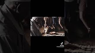 Download lagu umlando omfushane ngenyanga eyanikeza abobandlululo amandla okubusa mp3