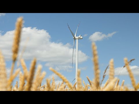 Grupa PGE kupiła farmę wiatrową w okolicach Radzynia Chełmińskiego pod Grudziądzem