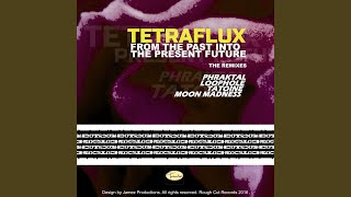 From the Past into the Present Future (Original Mix)