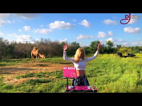 דיג'יי קיטי - דאנס ישראלי - מסיבה ישראלית עם DJ KITTY - סט לייב !