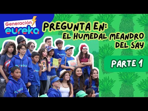 Generación eureka pregunta | Humedal Meandro del Say