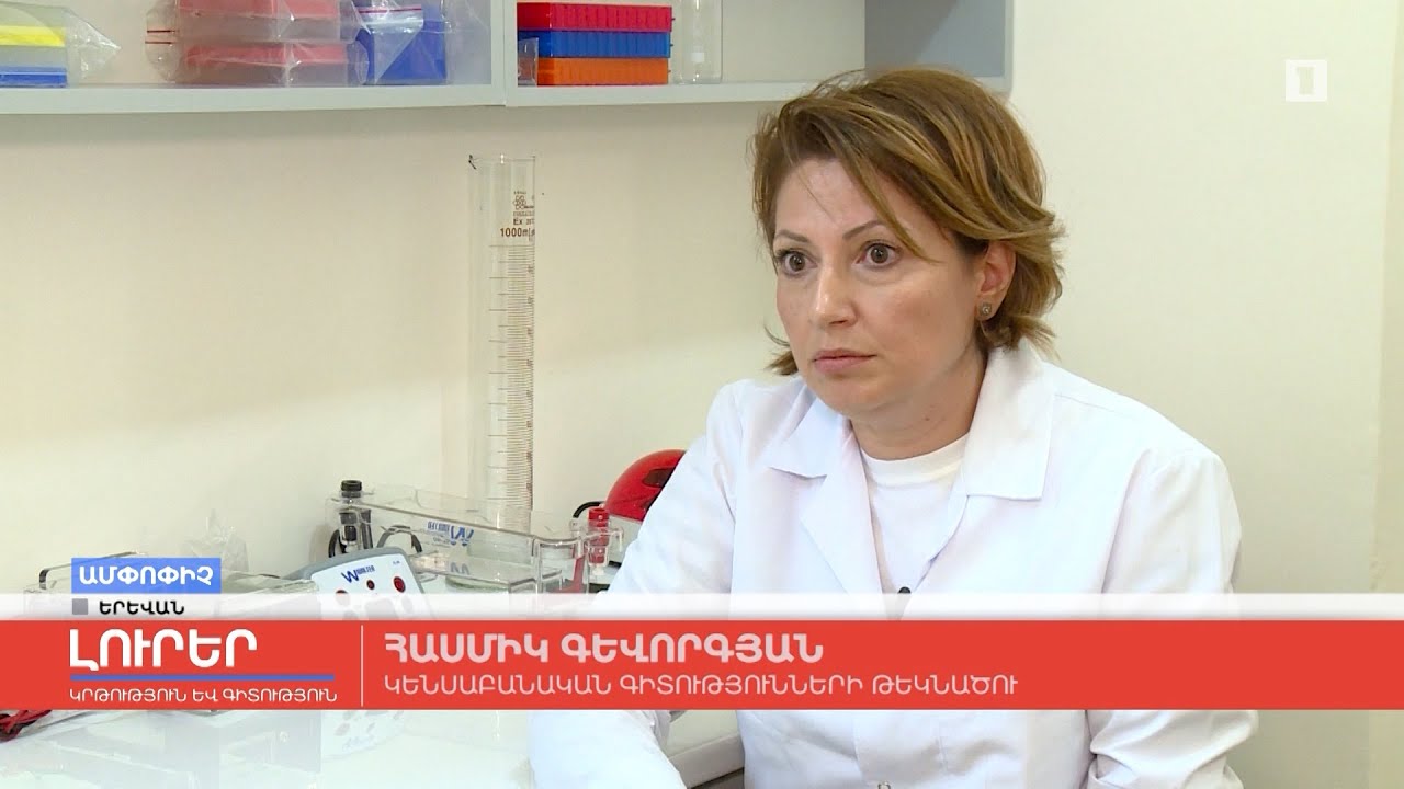 Կատուները՝ տոքսոպլազմոզի հիմնական տարածողներ