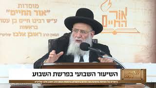 ביאורים על פרשת השבוע - פרשת שמיני תשפ"ו