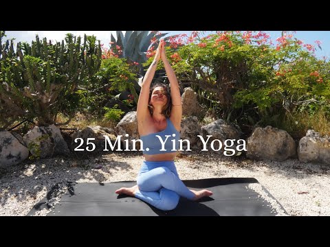 25 Min. Yin Yoga für den ganzen Körper | Intensiv Dehnen | Emotionen Loslassen & Stress abbauen