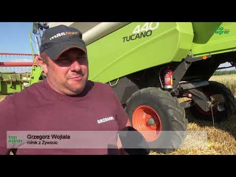 Trwa zbiór jęczmienia. Rolnicy oceniają jego plony i ceny. Ziarno z 2022 roku jeszcze w magazynach