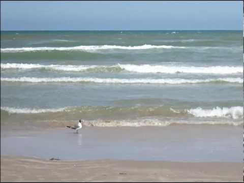 Rhett Clark - Port Aransas