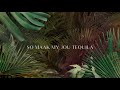 Demi Lee Moore Maak My Jou Tequila Lirieke Video