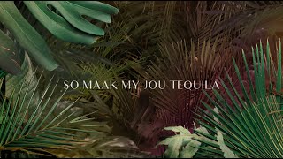 Demi Lee Moore - Maak My Jou Tequila (Lirieke Vide
