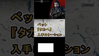 【Crimson Desert 紅の砂漠】ペット 『タカヘ』 の入手方法について紹介 #紅の砂漠 #CrimsonDesert #紅の砂漠攻略 #アクションRPG