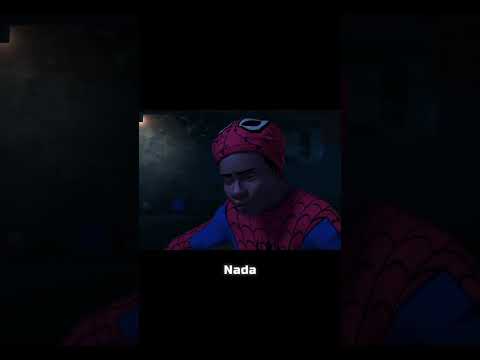 Filtres de recherche