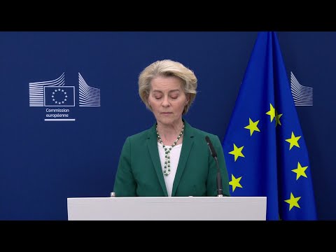 Video Thumbnail: EU chief says offered US 'zero-for-zero tariffs for industrial goods' | AFP