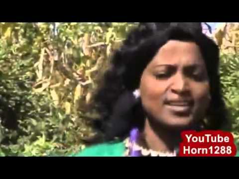 New Ethiopian Traditional Music 2014 - ዘነበች ታዲ_ አትከፋብኝ _.mp4