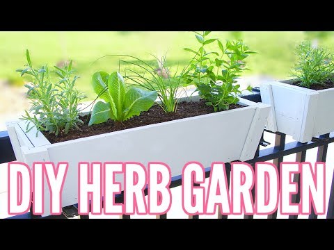 DIY HERB GARDEN | How To Plant an Herb Garden - Great for Apartments!! Easy Beginner Gardening!!