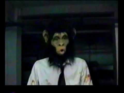 Psychoplasmics - De Pijp co-prod. Bngrboy (MUSIC VIDEO)