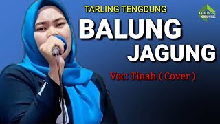 Download lagu BALUNG JAGUNG - TINAH ( Cover ) mp3 Download lagu BALUNG JAGUNG - TINAH ( Cover ) mp3