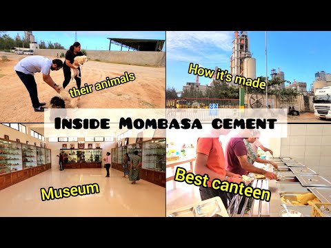 How it's made |THE MOMBASA CEMENT | So many animals😨, The food was amazing😍 #vlog #youtube