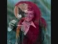 Jerry Reed-The Bird